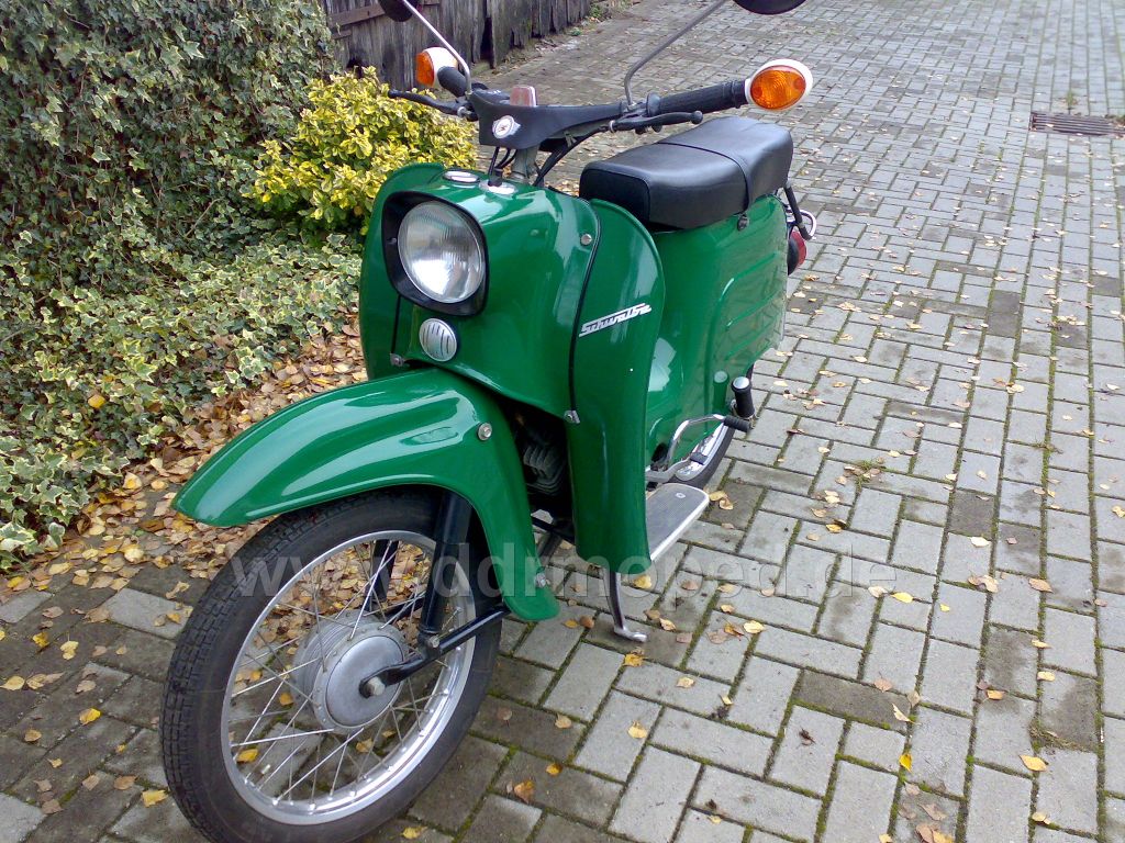 Grüne Schwalbe